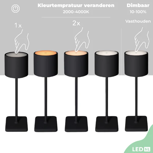 Miniatuur 2